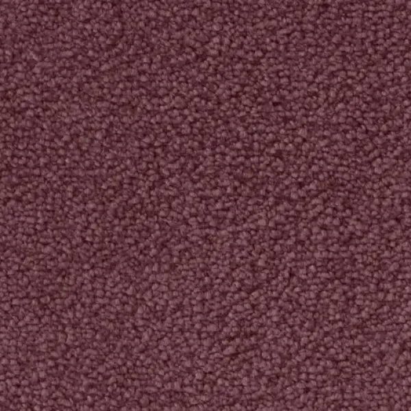 Draufsicht auf Vorwerk Mira 1P98